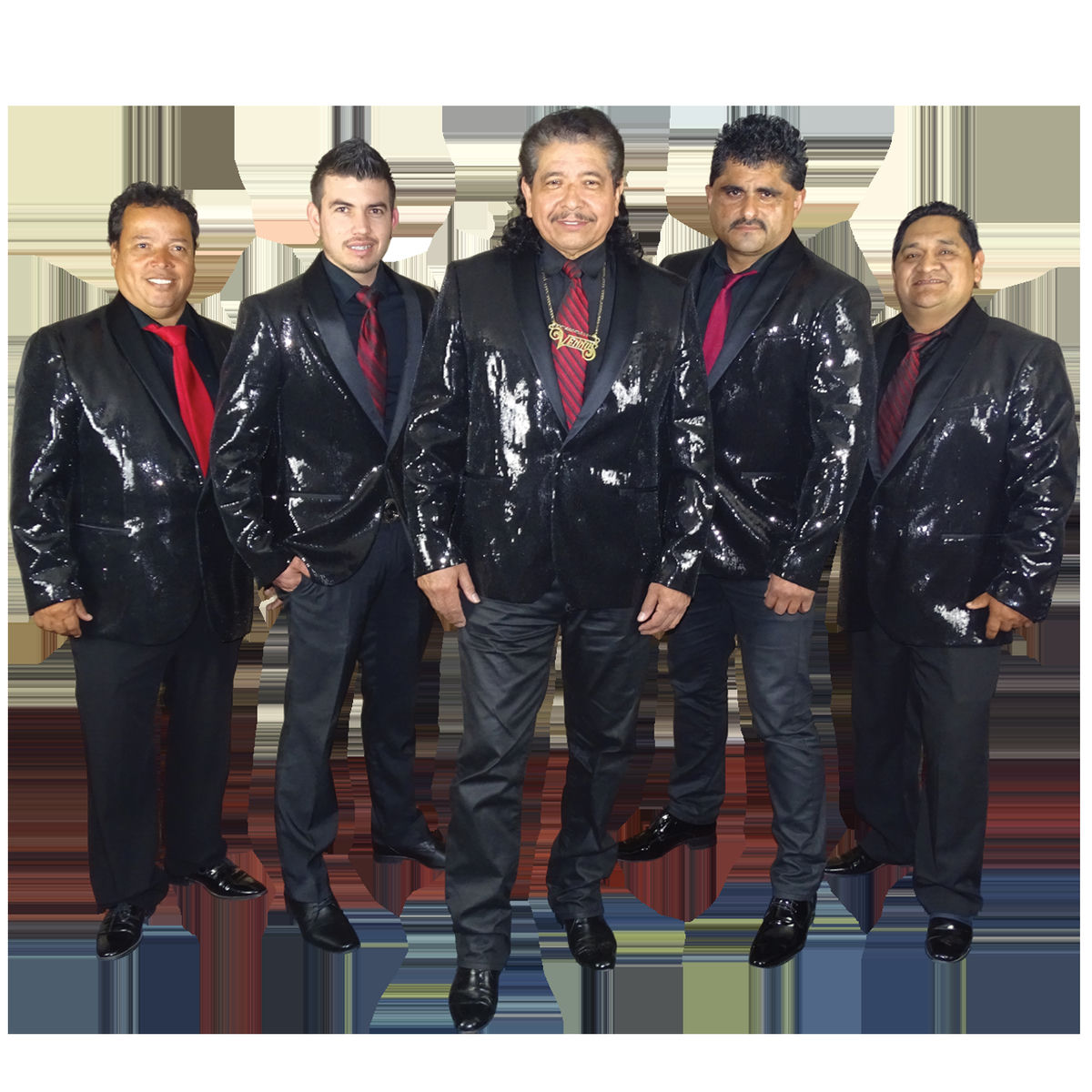 Grupo Vennus