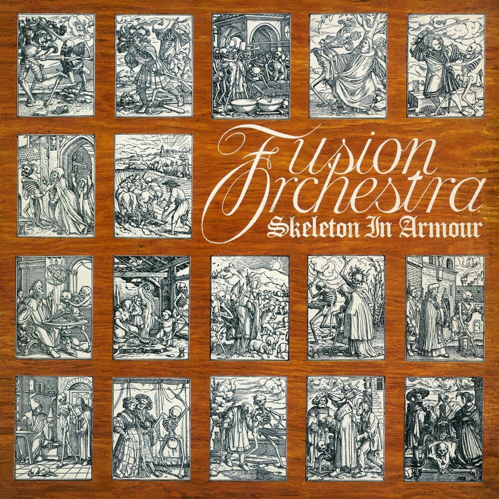 Picture of Fusion Orchestra