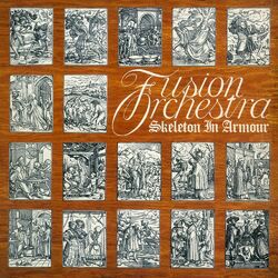 Picture of Fusion Orchestra
