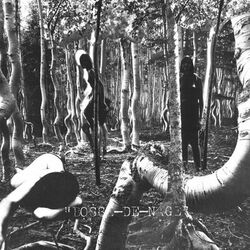 Picture of Bosse-de-Nage