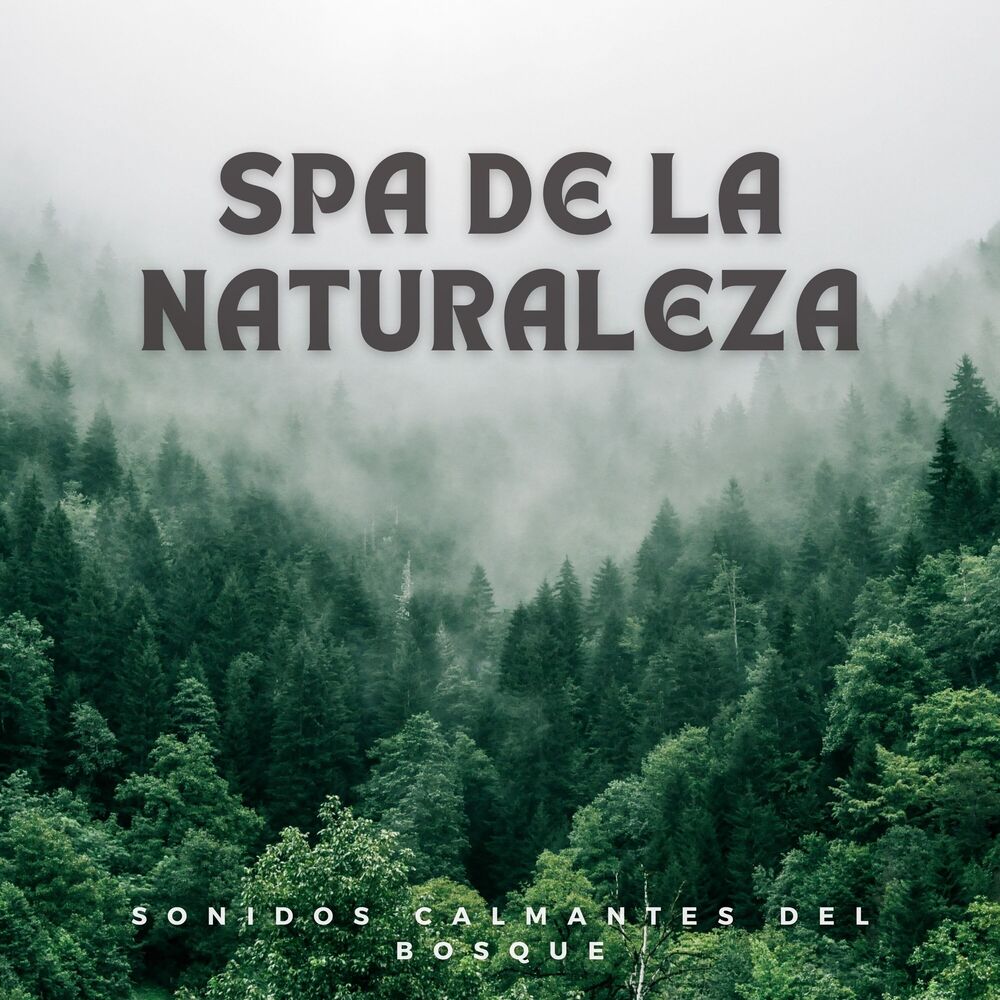 Picture of Las leyendas de la música spa