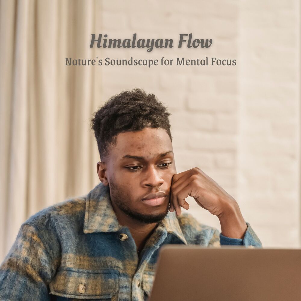Picture of Music for Focus Classics