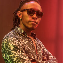 Picture of Bensoul