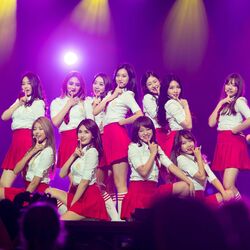 Picture of I.O.I