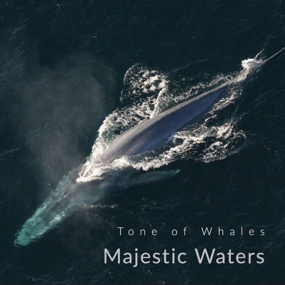 Picture of Majestic Waters
