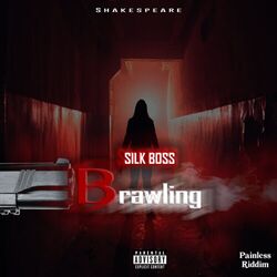 Picture of Silk Boss