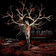 The Old Dead Tree