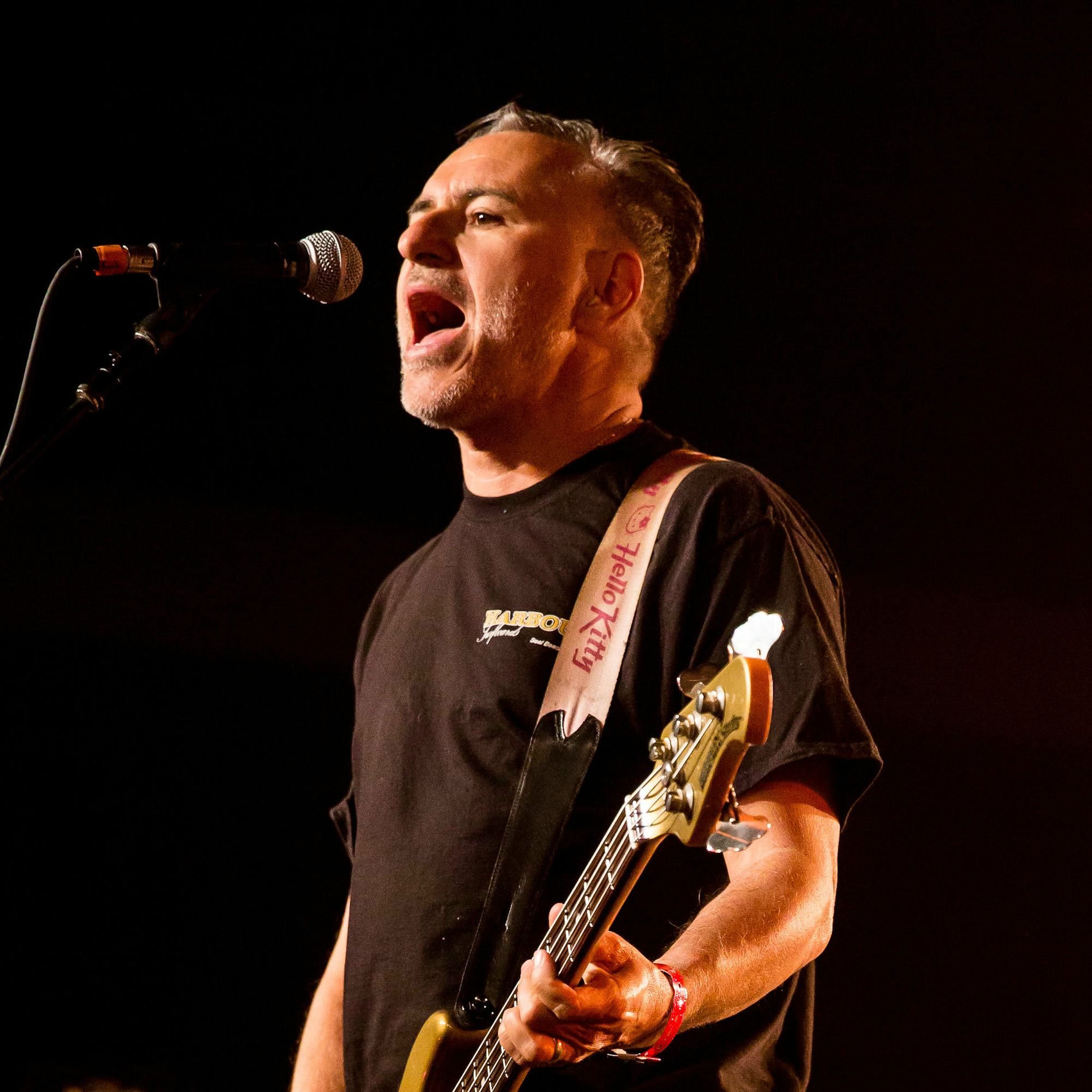 Artist picture of The Vandals