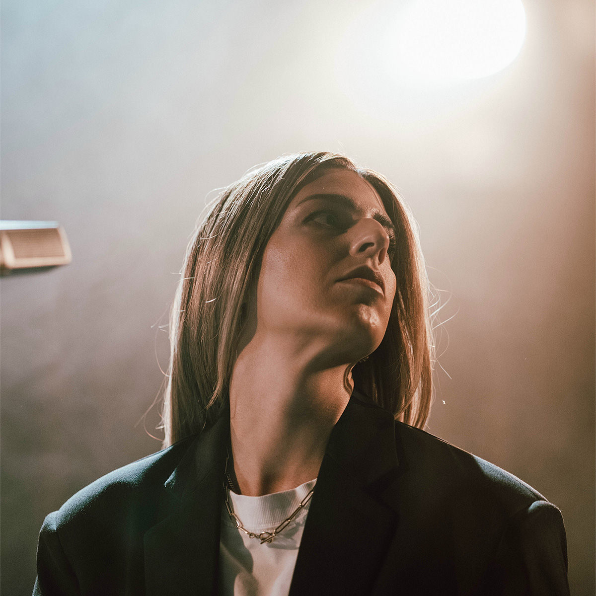 Artist picture of Brooke Ligertwood