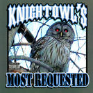 Mr. Knightowl