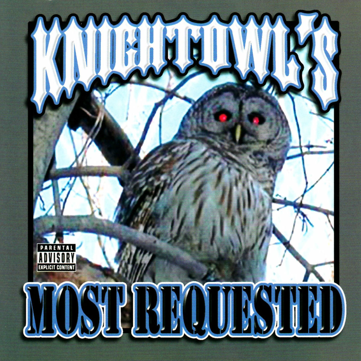 Mr. Knightowl