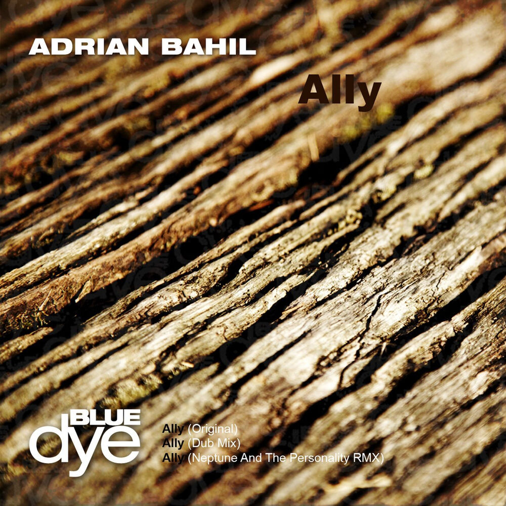 Picture of Adrian Bahil