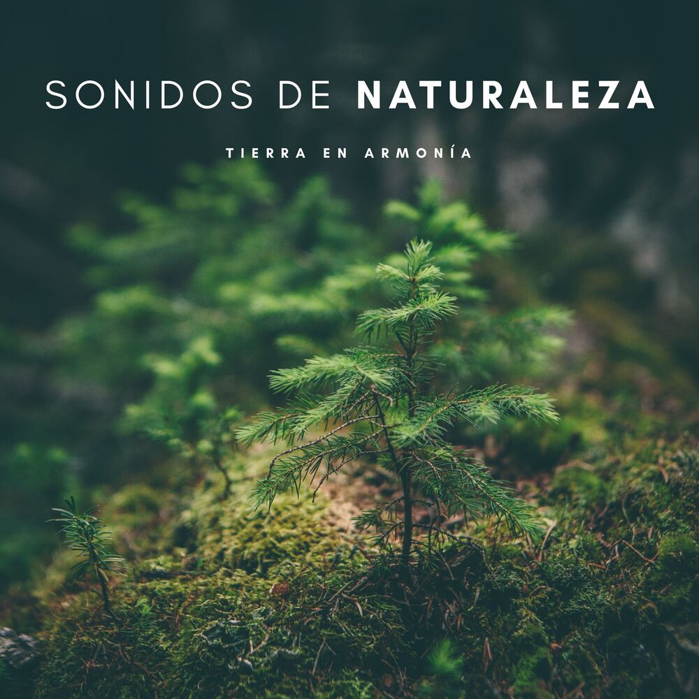 Picture of Música Para La Relajación