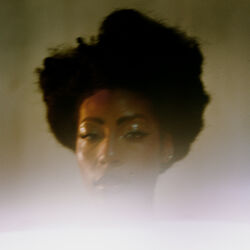 Picture of Demae