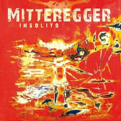 Picture of Herwig Mitteregger