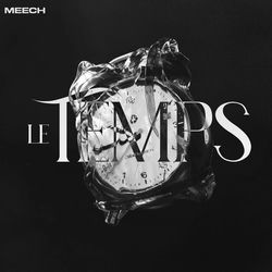 Meech ZG