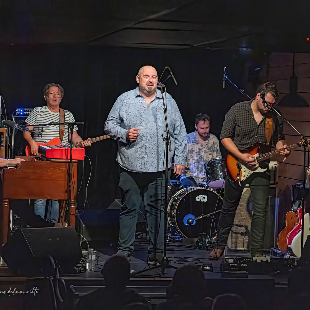 Picture of The Bluesbones