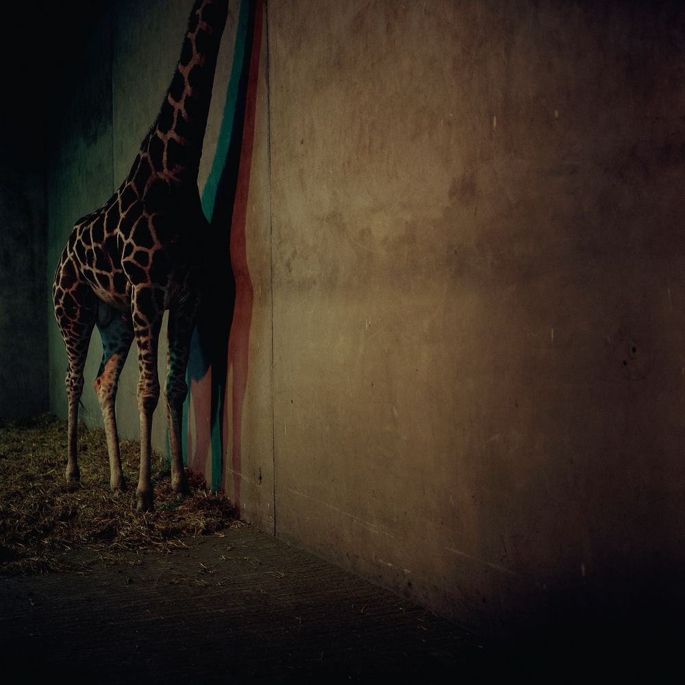 Photo de l'artiste Alien Ensemble