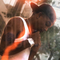 Rich DS