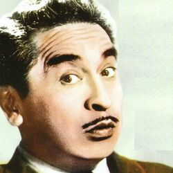 Picture of Chava Flores