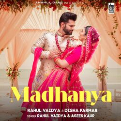 Picture of Rahul Vaidya