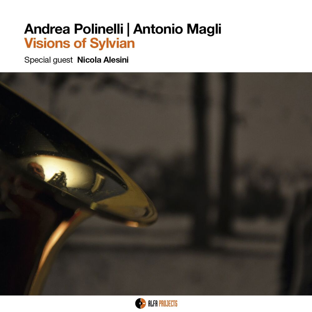 Picture of Andrea Polinelli