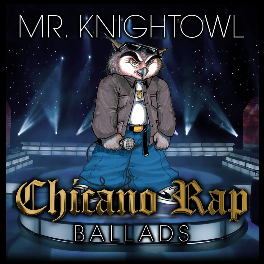 Picture of Mr. Knightowl