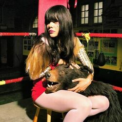 Picture of Bat for Lashes