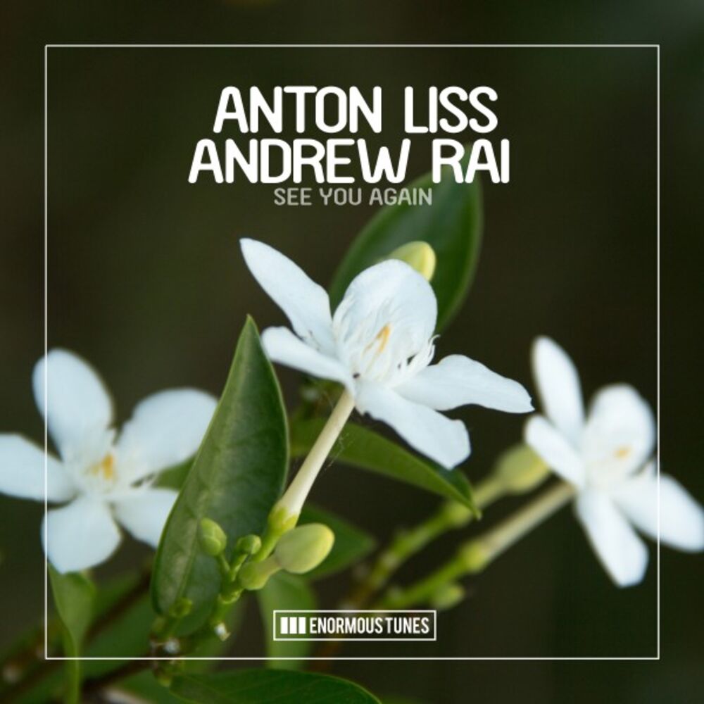 Picture of Anton Liss