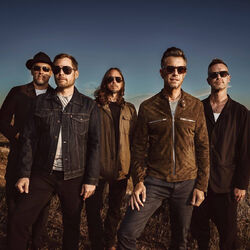 Picture of 311