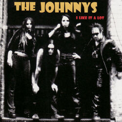 Picture of The Johnnys