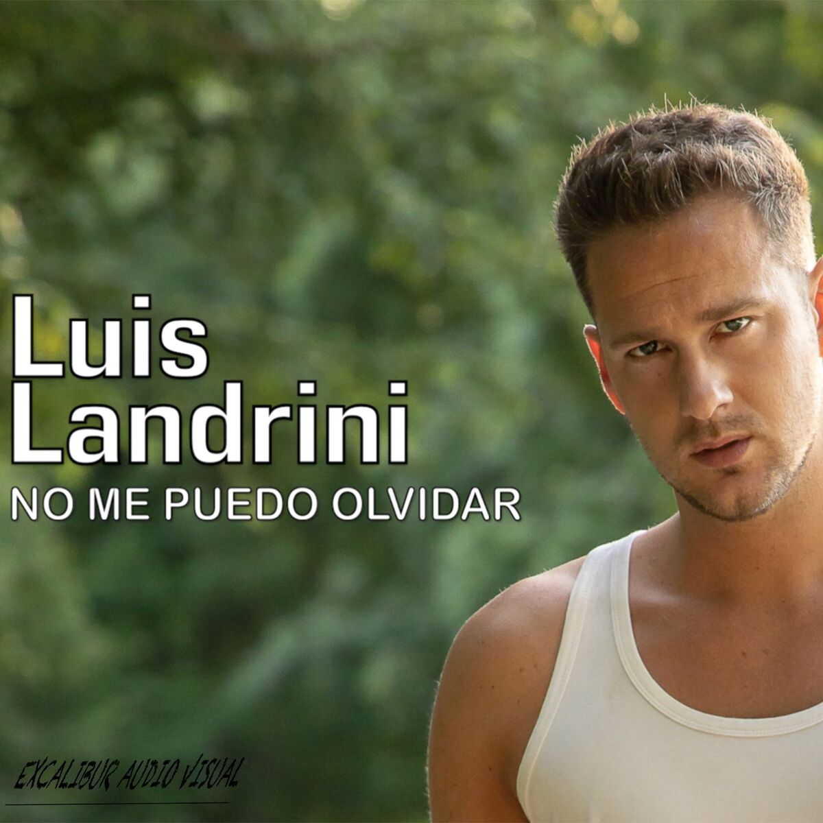 Artist picture of Luis Landrini