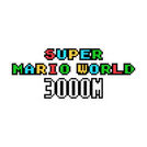 3000m