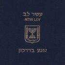 Amir Lev