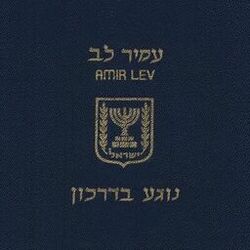 Picture of Amir Lev