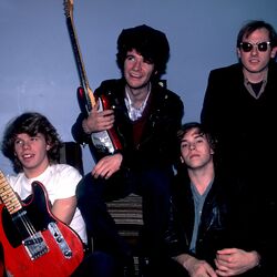 Picture of The Del Fuegos
