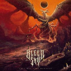 Picture of Bleed The Sky