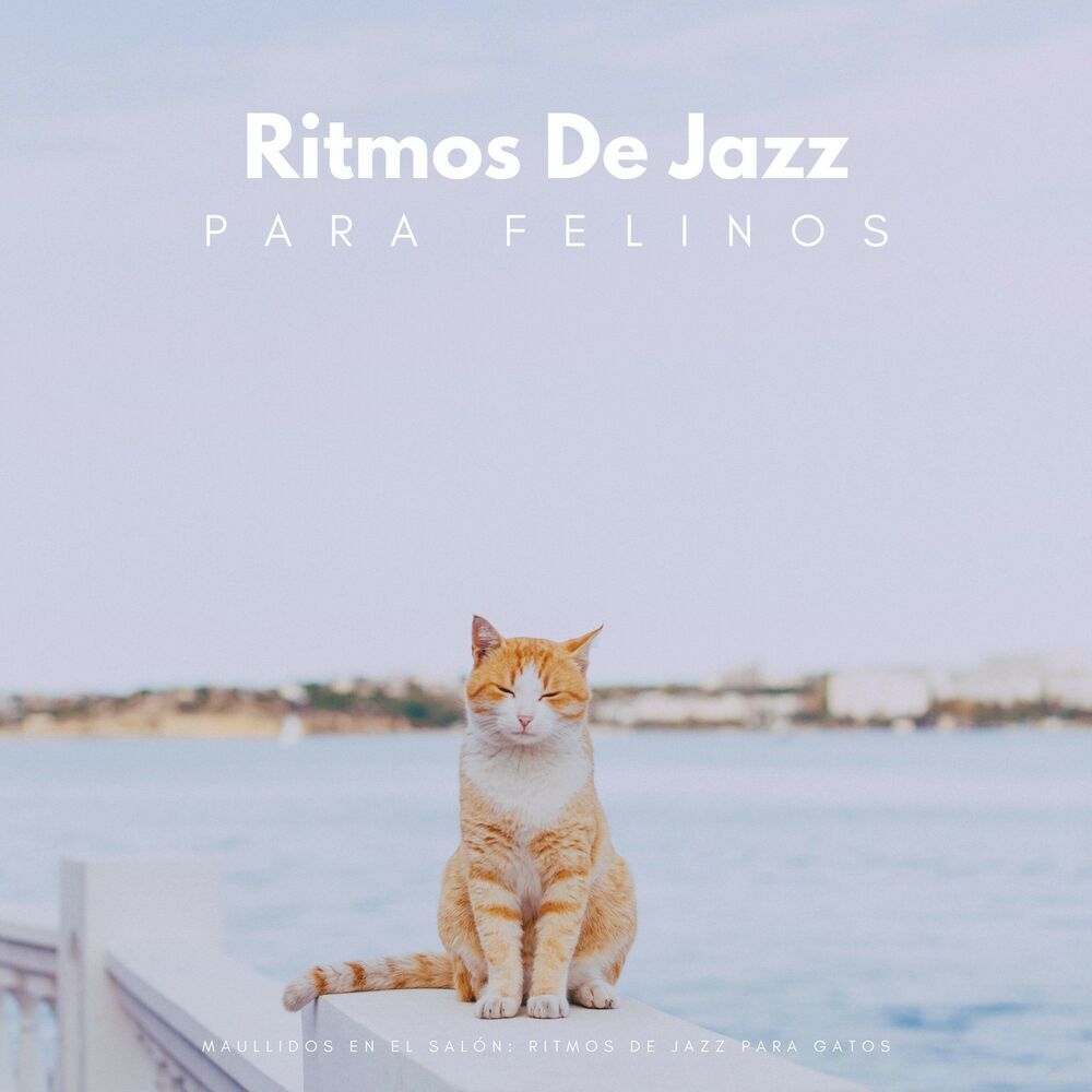 Picture of Café Morning Jazz Deluxe