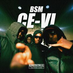 Picture of Bsm