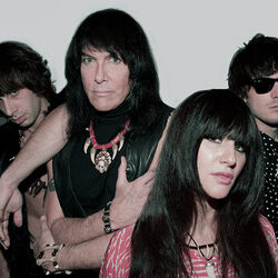 Picture of The Fuzztones