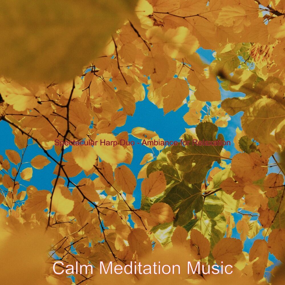 Picture of Calm Meditation Music