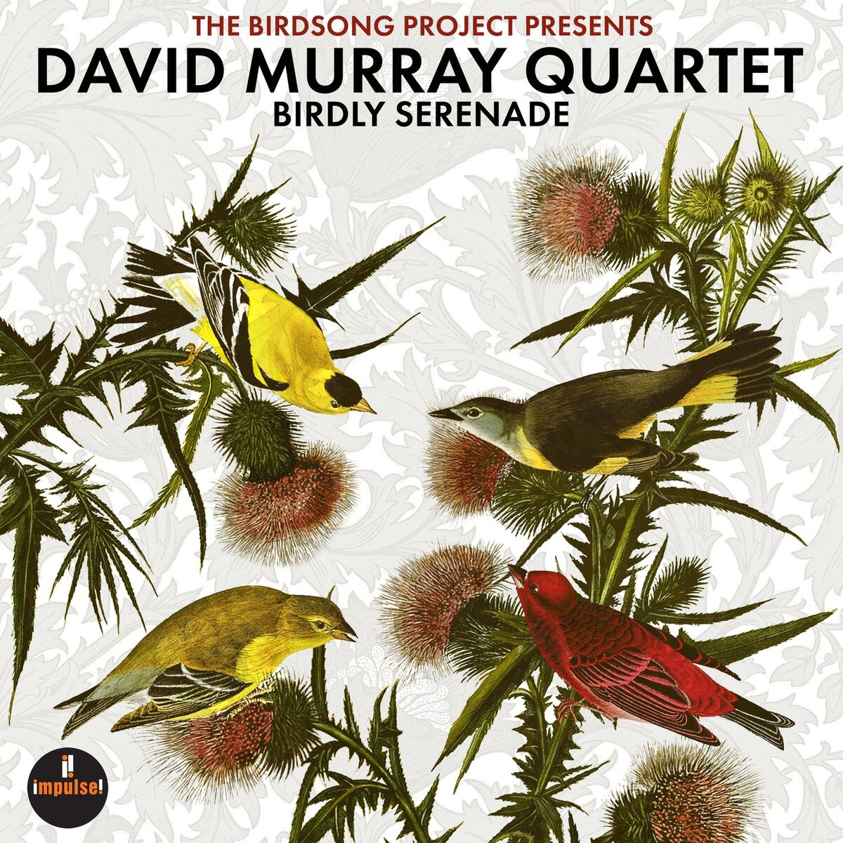 Amazon.com: Lovers : David Murray: Digital Music