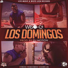Wiso G