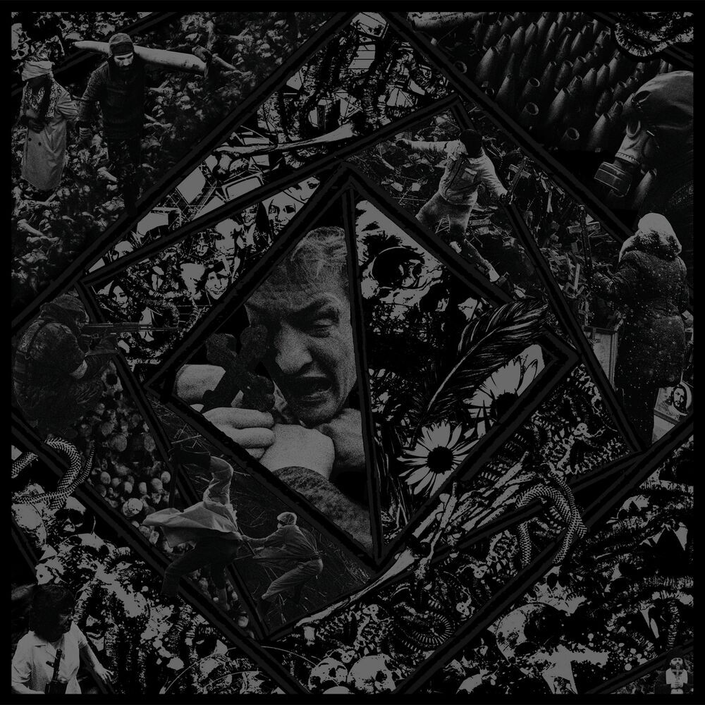 Picture of Bitterness Exhumed