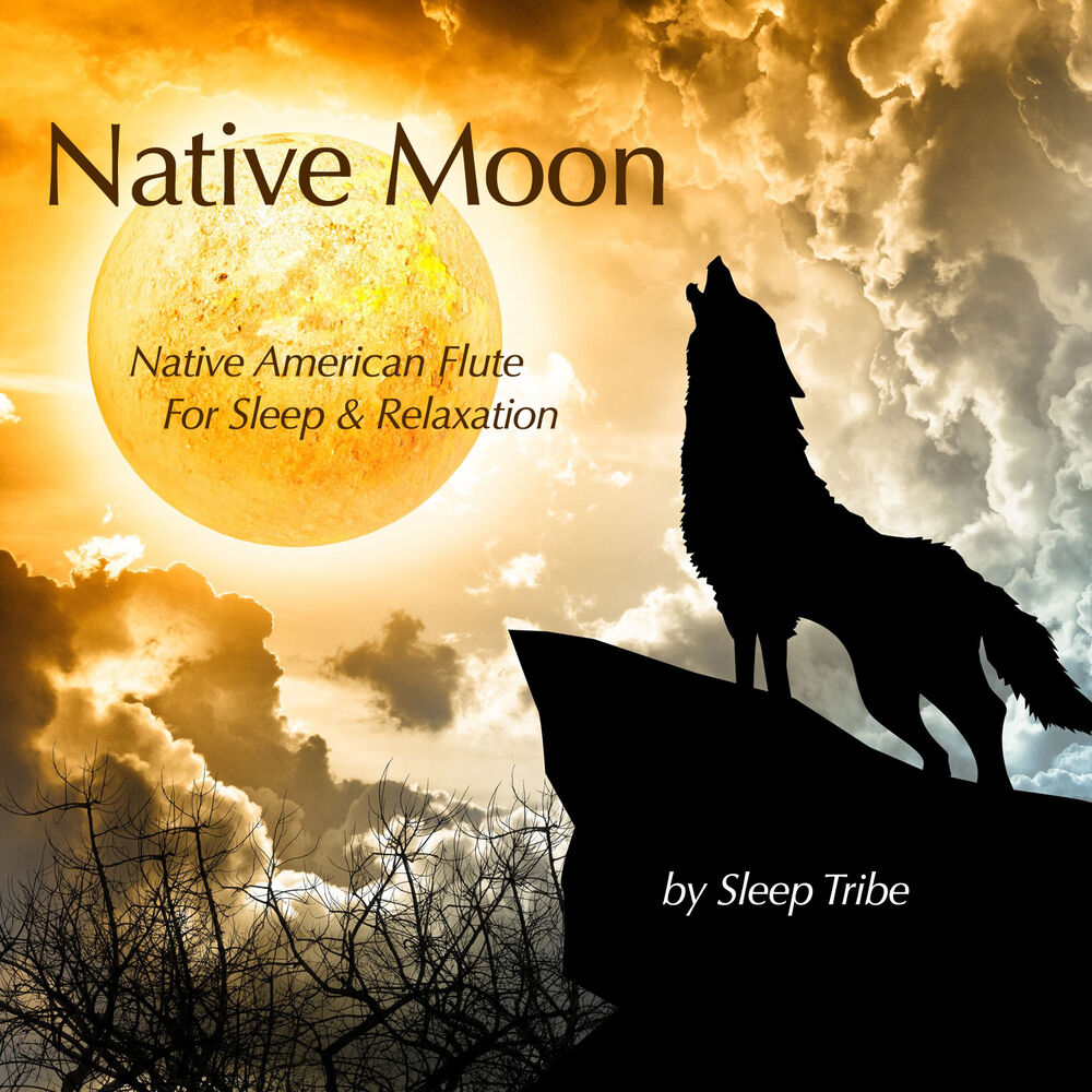 Picture of Sleep Tribe