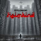 Teflon030