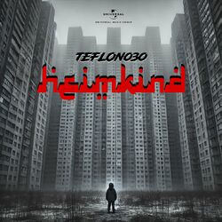 Picture of Teflon030