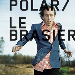 Picture of Polar