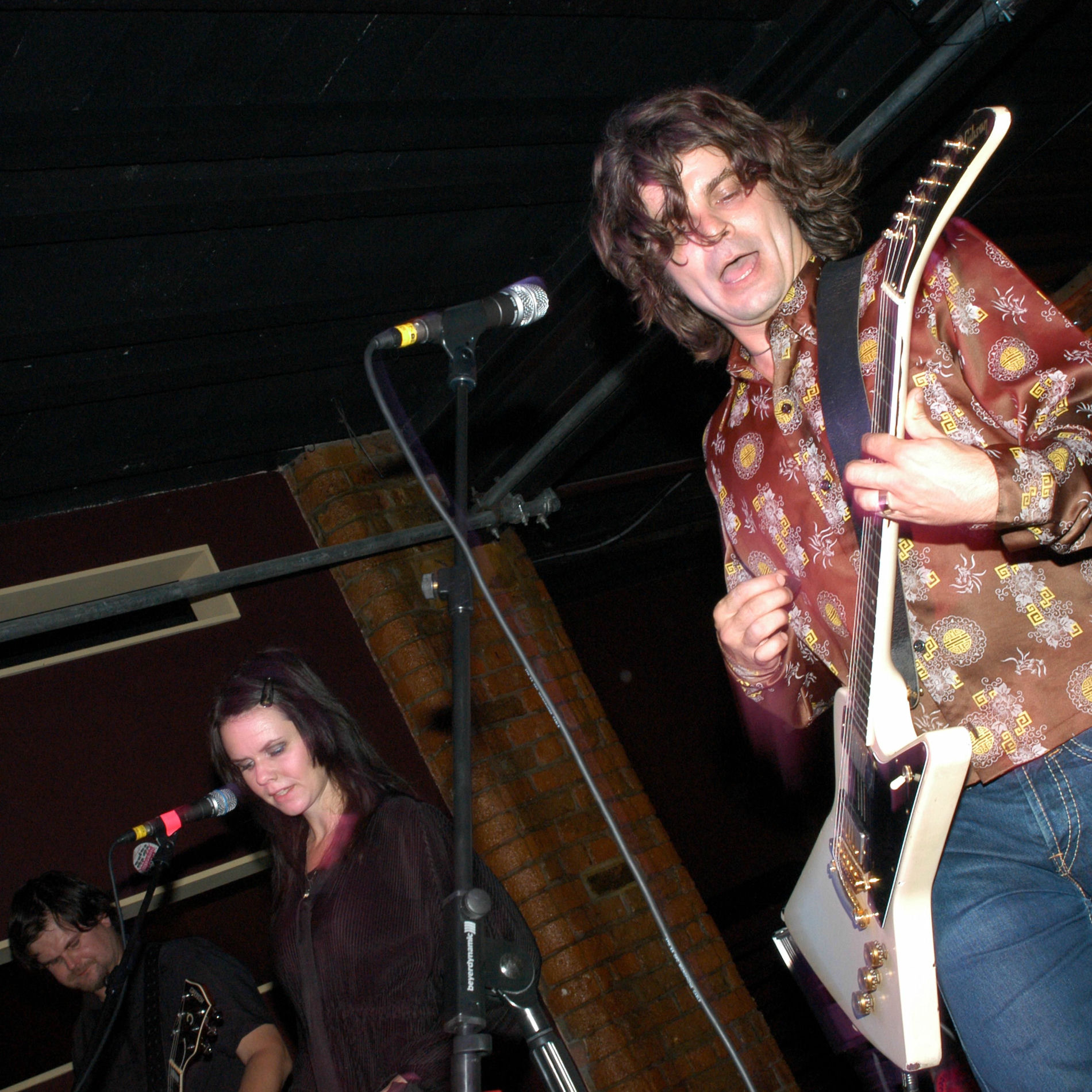 Artist picture of The Wannadies