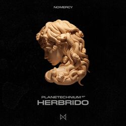 Picture of Herbrido